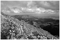 Looking towards green hills from the summit after a snow storm, Mt Diablo State Park. California, USA (black and white)