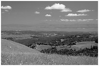 Meadows in the spring, with the Silicon Valley in the distance,  Russian Ridge Open Space Preserve. Palo Alto,  California, USA (black and white)