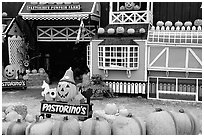 Pastorino pumpkin farm. Half Moon Bay, California, USA ( black and white)