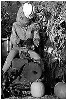 Scarecrow, Pumpkin patch. San Jose, California, USA ( black and white)