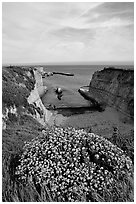 Wildflowers and cliffs, Wilder Ranch State Park, afternoon. California, USA (black and white)