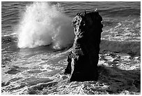 Wave and seastack morning. Santa Cruz, California, USA (black and white)