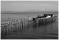 Pier, Capitola. Capitola, California, USA ( black and white)