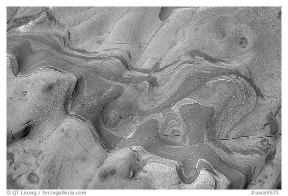 Carmelo Formation incrustations,  Weston Beach. Point Lobos State Preserve, California, USA (black and white)
