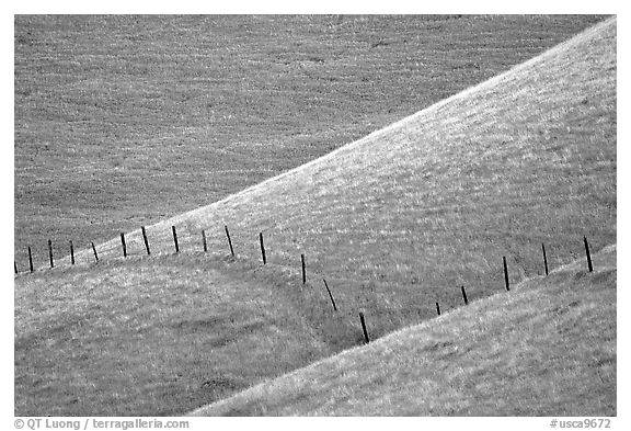 Fence on hill, Southern Sierra Foothills. California, USA (black and white)