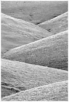 Ridges, Southern Sierra Foothills. California, USA ( black and white)