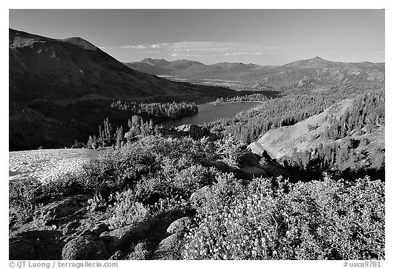 Flowers and Red Lake in the distance, afternoon. Mokelumne Wilderness, Eldorado National Forest, California, USA (black and white)
