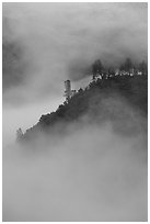 Ridge in fog,  sunrise, Stanislaus  National Forest. California, USA (black and white)