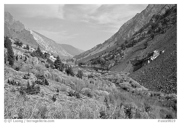 Valley with fall colors, Lundy Canyon, Inyo National Forest. California, USA (black and white)