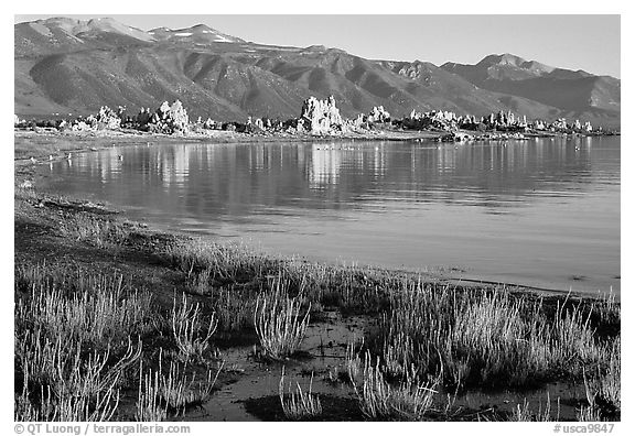Grasses, tufa, and mountains, early morning. Mono Lake, California, USA (black and white)