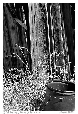 Bucket, grasses, and wall, Ghost Town, Bodie State Park. California, USA (black and white)