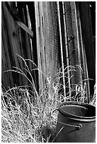 Bucket, grasses, and wall, Ghost Town, Bodie State Park. California, USA ( black and white)