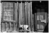 Window and wall, Ghost Town, Bodie State Park. California, USA ( black and white)