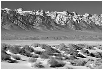 Sierra Nevada mountains rising abruptly above Owens Valley. California, USA (black and white)