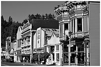 Row of Victorian Houses, Ferndale. California, USA (black and white)