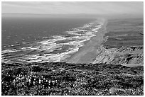 Point Reyes Beach, afternoon. Point Reyes National Seashore, California, USA (black and white)