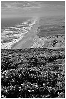 Point Reyes Beach, afternoon. Point Reyes National Seashore, California, USA ( black and white)