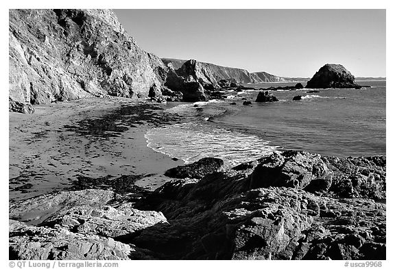 McClures Beach, looking south, afternoon. Point Reyes National Seashore, California, USA (black and white)