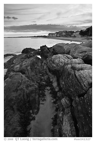 Algae-covered rocks and beach houses, Westbrook. Connecticut, USA (black and white)