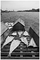 Fish being dried next to Mystic River. Mystic, Connecticut, USA (black and white)