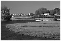 Oyster River, grasses, and houses, Old Saybrook. Connecticut, USA ( black and white)