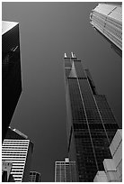 Upwards views of Sears tower and  skyscrappers. Chicago, Illinois, USA ( black and white)
