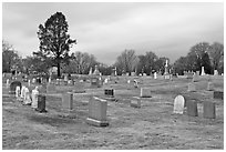 Lawn cemetery. Salem, Massachussets, USA ( black and white)