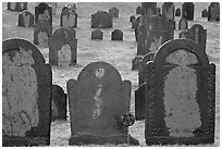 Headstones, Concord. Massachussets, USA ( black and white)