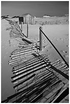 Fallen sand barrier, Cape Cod National Seashore. Cape Cod, Massachussets, USA (black and white)
