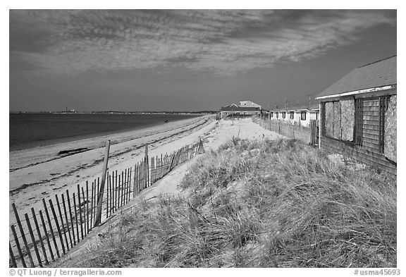 Cottages and beach, Truro. Cape Cod, Massachussets, USA (black and white)