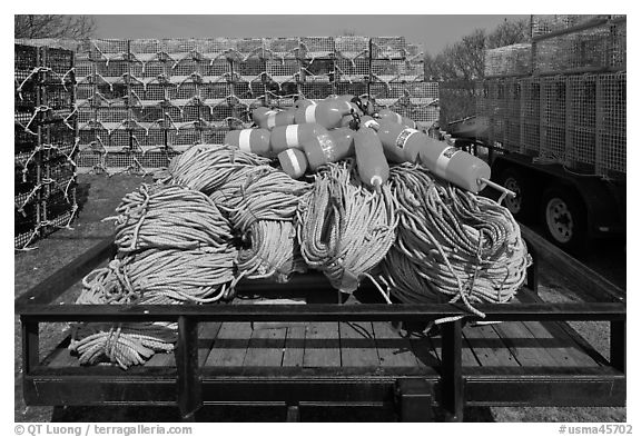 Lobstering gear, Truro. Cape Cod, Massachussets, USA (black and white)