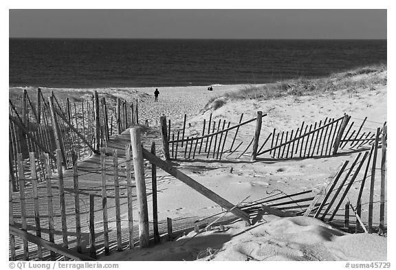 Sand Fence, tourist, and ocean late afternoon, Cape Cod National Seashore. Cape Cod, Massachussets, USA (black and white)