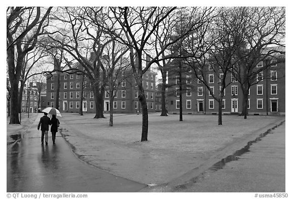 Couple with unbrella walking on Harvard University Campus, Cambridge. Boston, Massachussets, USA (black and white)