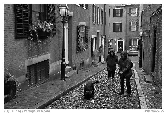 Women walking dog on rainy day, Beacon Hill. Boston, Massachussets, USA (black and white)