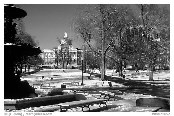 Boston common in winter. Boston, Massachussetts, USA (black and white)
