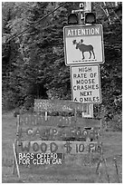 Moose warning a wood for sale signs. Maine, USA ( black and white)