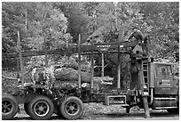 Tree pruning truck, Rockwood. Maine, USA ( black and white)