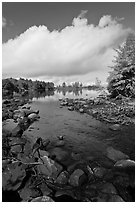 Stream, trees in autumn foliage, Beaver Cove. Maine, USA ( black and white)