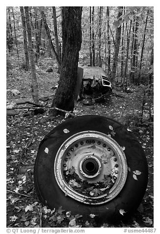 Wheel and fuselage part from crashed B-52 in forest. Maine, USA (black and white)