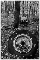 Wheel and fuselage part from crashed B-52 in forest. Maine, USA ( black and white)