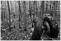 Landing gear of crashed B-52 in woods. Maine, USA (black and white)