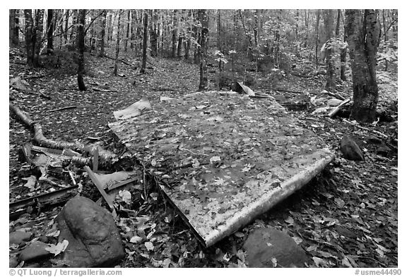 Pieces of B-52 wreckage lie scattered on Elephant Mountain. Maine, USA (black and white)