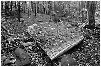 Pieces of B-52 wreckage lie scattered on Elephant Mountain. Maine, USA ( black and white)