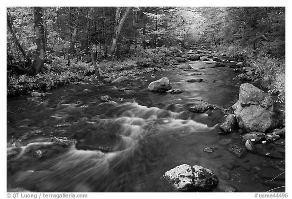 Stream in autumn near Elephant Mountain. Maine, USA