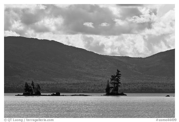 Islets with conifers, Moosehead Lake, Lily Bay State Park. Maine, USA (black and white)