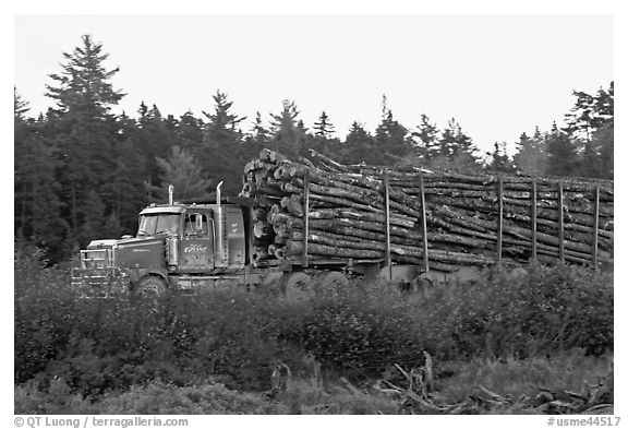 Truck loaded with tree logs. Maine, USA