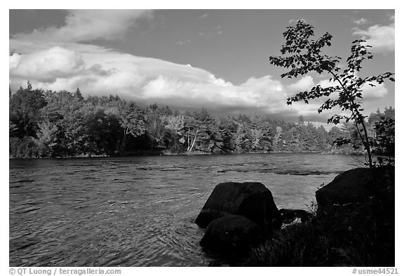 Penobscot River, boulders, and trees in fall. Maine, USA (black and white)
