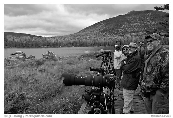 Wildlife photographers on observation platform, Sandy Stream Pond. Baxter State Park, Maine, USA (black and white)