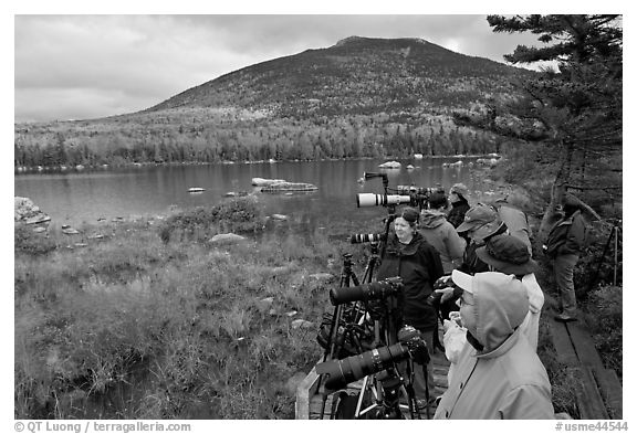 Photographers waiting for moose, Sandy Stream Pond. Baxter State Park, Maine, USA (black and white)