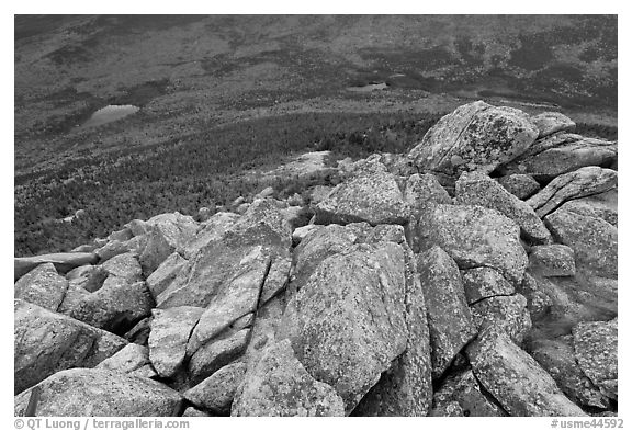 Rocks on summit of South Turner Mountain. Baxter State Park, Maine, USA